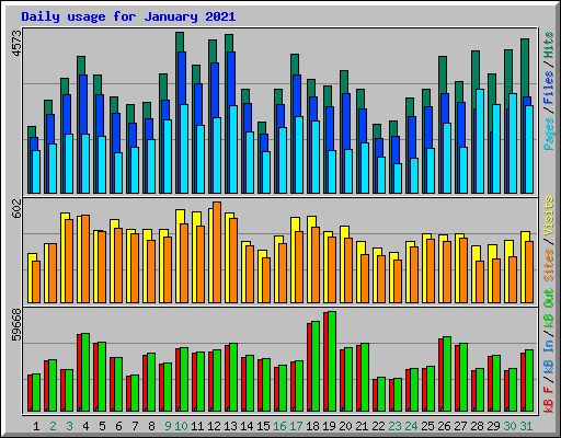 Daily usage for January 2021