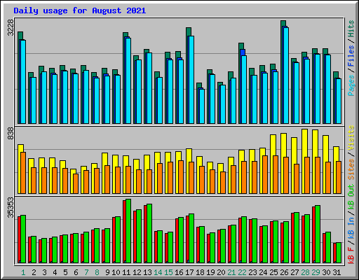 Daily usage for August 2021