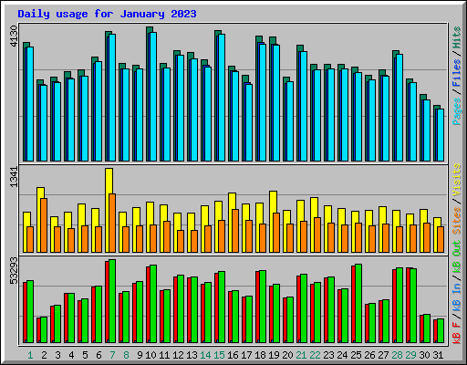Daily usage for January 2023