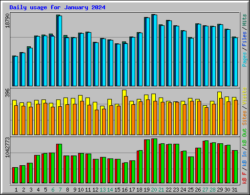 Daily usage for January 2024