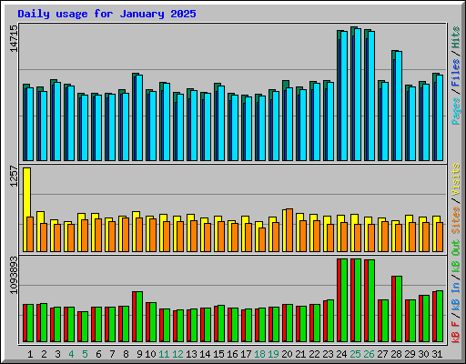 Daily usage for January 2025