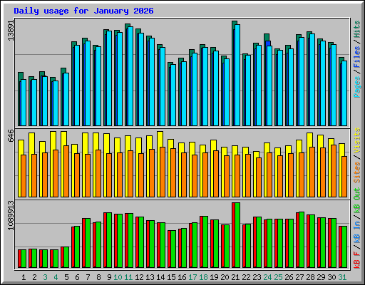 Daily usage for January 2026