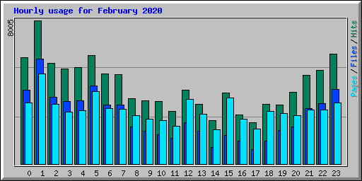 Hourly usage for February 2020