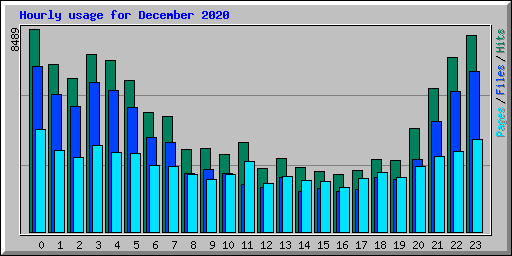 Hourly usage for December 2020