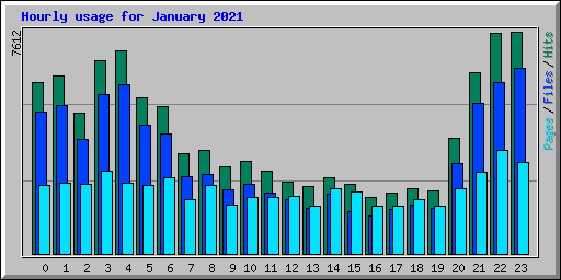 Hourly usage for January 2021