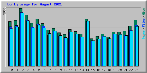 Hourly usage for August 2021