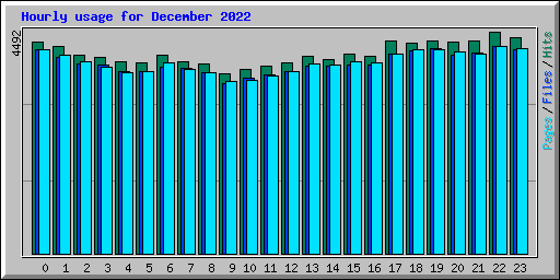 Hourly usage for December 2022