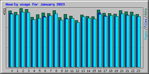 Hourly usage for January 2023