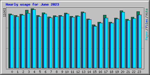 Hourly usage for June 2023