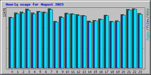 Hourly usage for August 2023