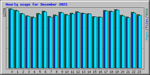 Hourly usage for December 2023
