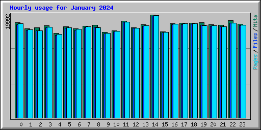 Hourly usage for January 2024