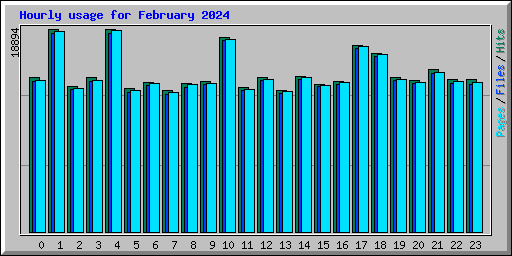 Hourly usage for February 2024