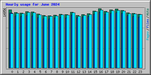 Hourly usage for June 2024