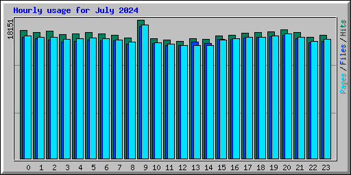 Hourly usage for July 2024