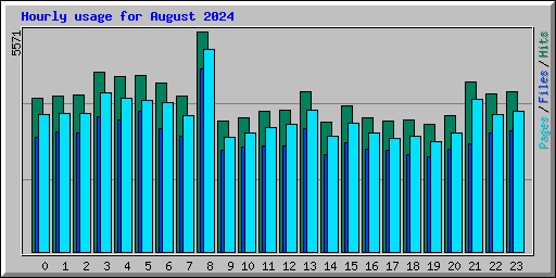 Hourly usage for August 2024