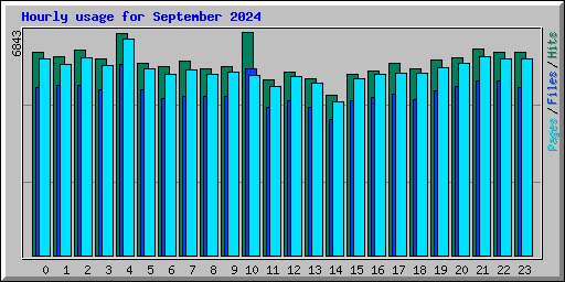 Hourly usage for September 2024