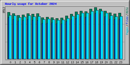 Hourly usage for October 2024