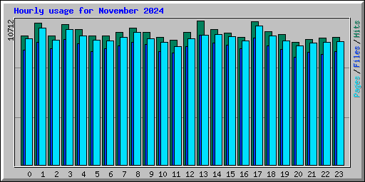 Hourly usage for November 2024
