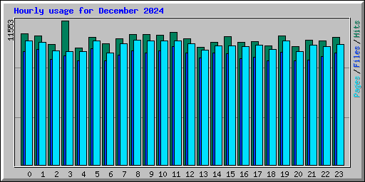 Hourly usage for December 2024