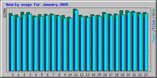 Hourly usage for January 2025