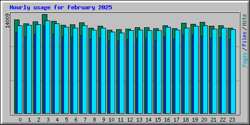 Hourly usage for February 2025