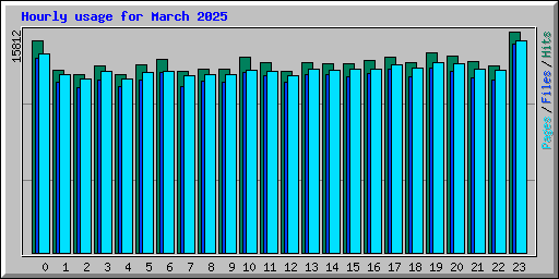 Hourly usage for March 2025