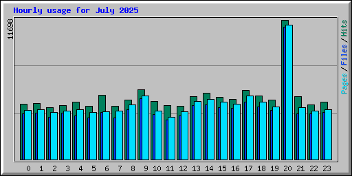 Hourly usage for July 2025