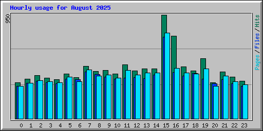 Hourly usage for August 2025