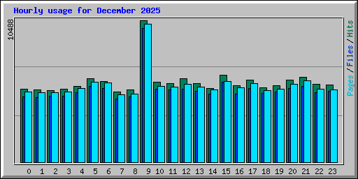 Hourly usage for December 2025