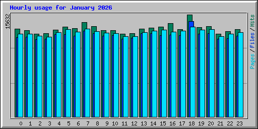 Hourly usage for January 2026