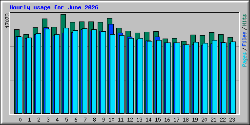 Hourly usage for June 2026